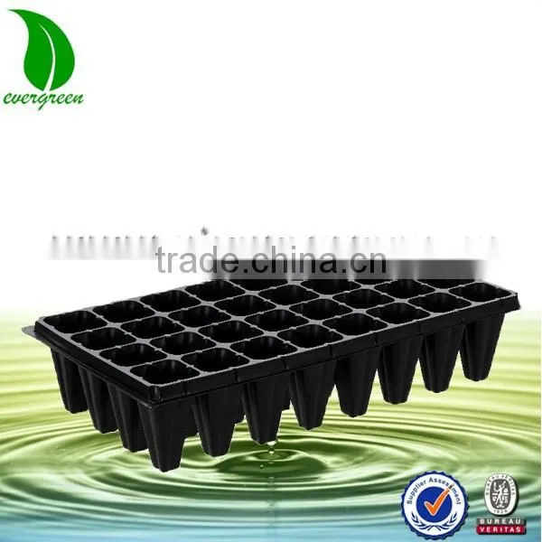 Plant and Tree Nursery