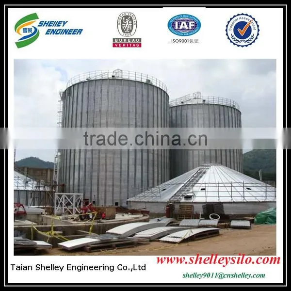 Plastic Storage Steel Structure Building Silo photo-4