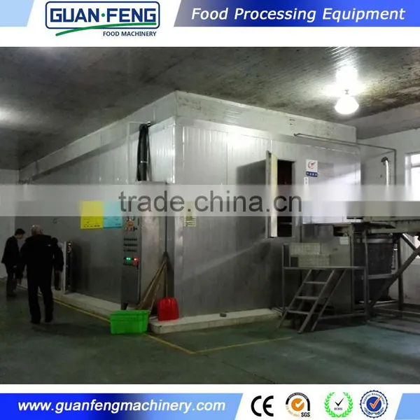 IQF System Quick Freezer For Fruits Blueberry Processing Machine photo-6