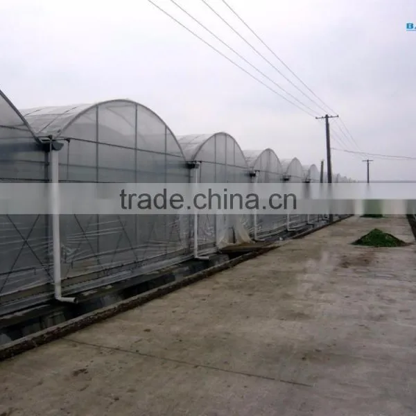 Cheap Flat Roof Greenhouse photo-4