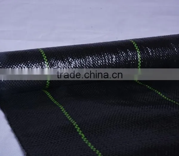 pp Ground Cover Mesh Fabric photo-4