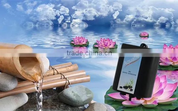 300 Mg/h Newest Version Hot and Cheap Portable Ozone System SPA With CE Certification photo-2