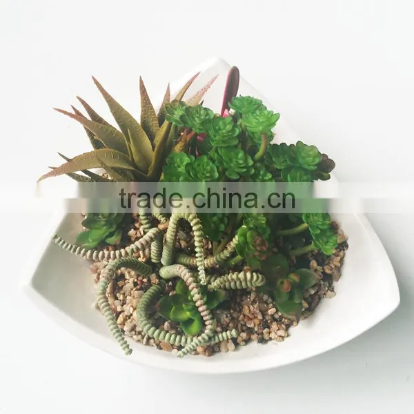 Wholesale Ornamental Plants Small Plastic Succulent Plant Bonsai photo-3