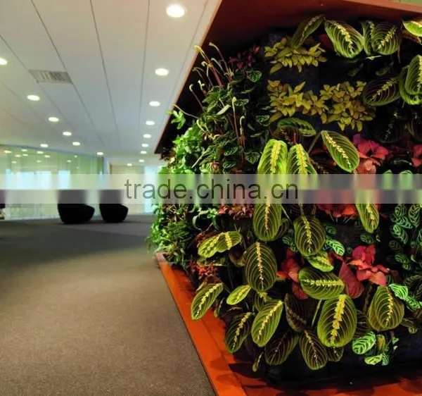 Environmental Protection Artificial Green Wall Succulent Plant Wall photo-4