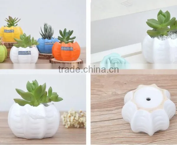 Wholesale High Quality Low Price Customer Design Gardening Pot/plant Pot/flower Pot/garden Pot photo-3