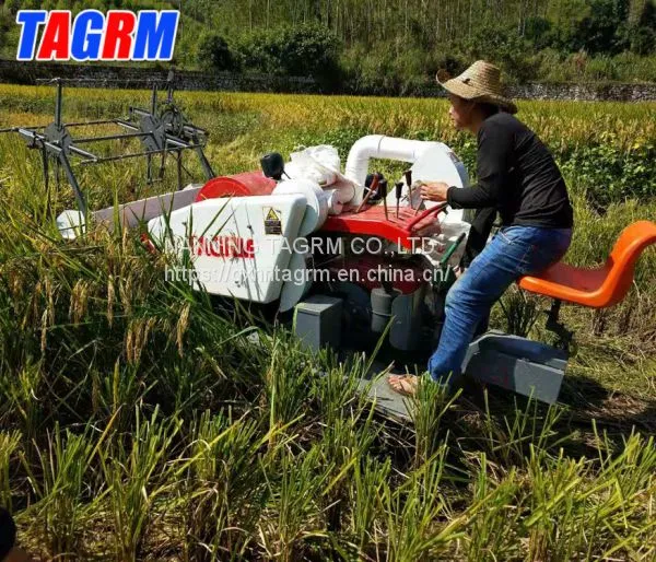 Agricultural Professional Supplier Mini Combine Wheat Harvester / Rice Harvester in Nigeria photo-4