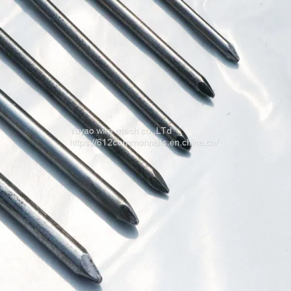 All Size Factory Common Nail photo-5