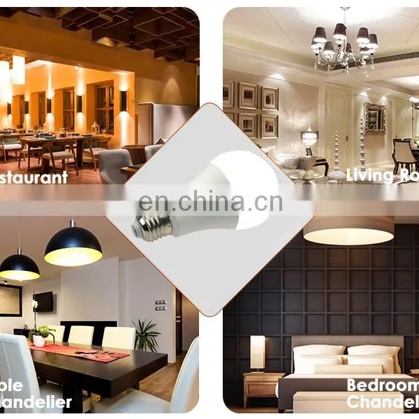 Led Light Supplier 5W LED Light Bulb With 3 Years Warranty photo-7