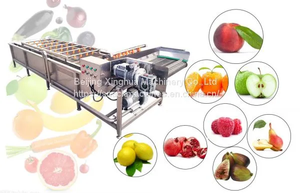 Upgrade Of Cleaning And Preservation Equipment To Ensure The Quality Of Fresh Fruits And Vegetables