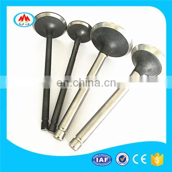 Motorcycles HighEST Grade Engine Valve for Wongan WJ300GS WJ300 photo-2