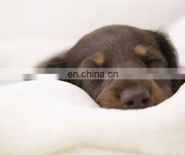 High Quality Luxury Pet Bed Soft Dog Bed Sofa Easy Clean Warming Dog Bed for All Kinds of Dog photo-6