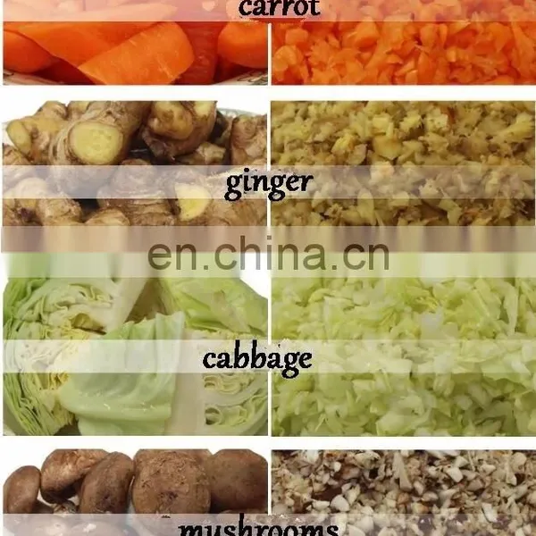 High Quality Cheap Price Automatic Vegetable Shredder / Cabbage Grinding Machine / Vegetable Cutting Machine for Sale photo-5