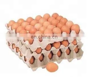 Waste Paper Recycle Used Egg Tray Machine/automatic Paper Pulp Egg Tray Production Line/small Machine Making Egg Tray photo-5