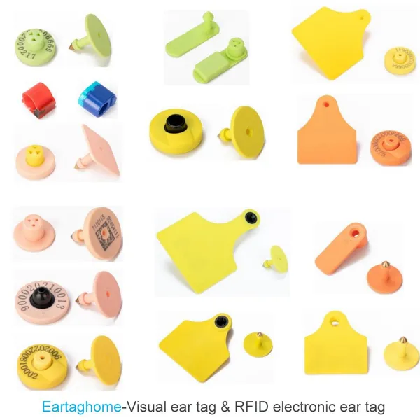 Eartaghome RFID Ear Tags CE Certified ISO11784 / 11785 134.2kHz RFID Low Frequency TPU Tag for Livestock SAF1100 photo-4