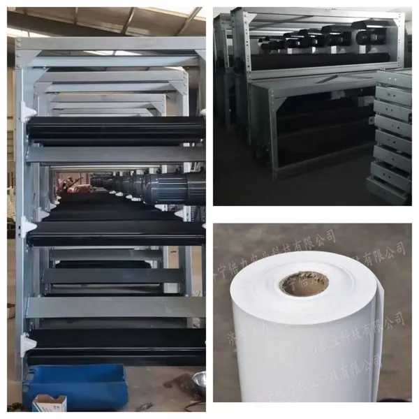 Chicken Shed Automatic Manure Discharge Conveyor Belt Equipment photo-5