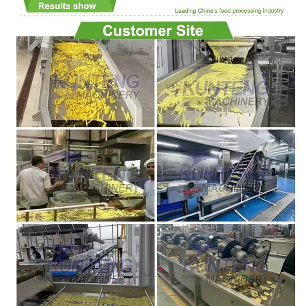 High Efficiency French Fries Frying Equipment Complete Okra Fish Frying Packaging Production Line EPC photo-3