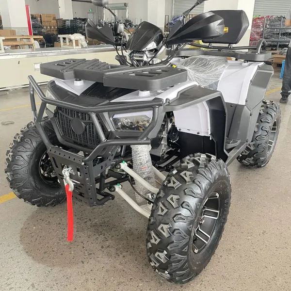 200CC Quad Bikes ATV 4x2 Petrol ATV Motorbike Motorcycle photo-2