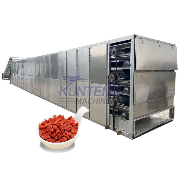 High Efficiency Coriander Alfalfa Hemp Leaves Mesh Belt Dryer Pumpkin Seed Goji Dryer EPC
