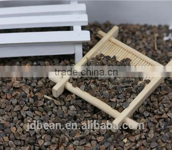High Quality Hot Sale Black Bitter Buckwheat for Tea (Fagopyrum Esculentum) photo-2
