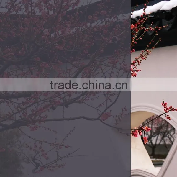 Straw Yellow Color Window Tinting Film, Glass PET Film photo-6