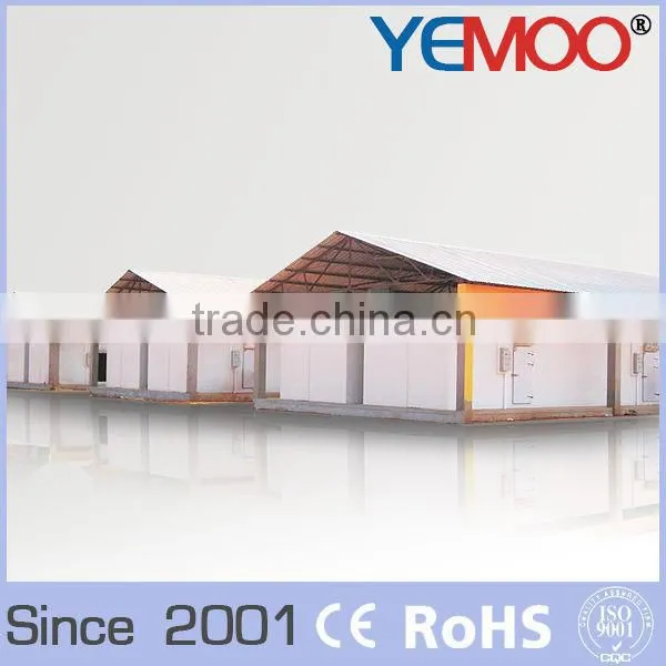YEMOO Frozen Fish Blast Batch Freezer Cold Storage Container for Sale photo-2