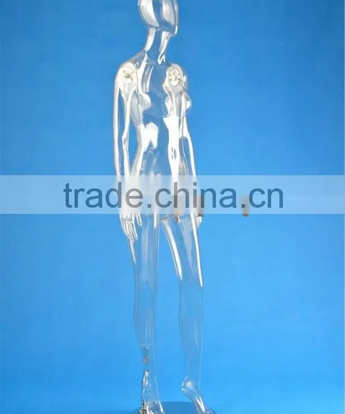 Full Body Transparent Plastic Mannequin photo-4
