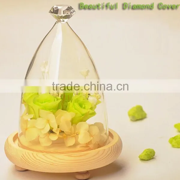 Round Glass Dome, Glass Bell Jar,Glass Dome Cover photo-4