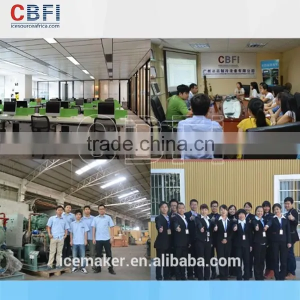 CBFI High Quality Ice Flake Making Machines For Sale photo-6