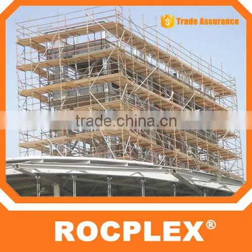 China High Quality Lvl Scaffold Plank/lvl Scaffold Board photo-5