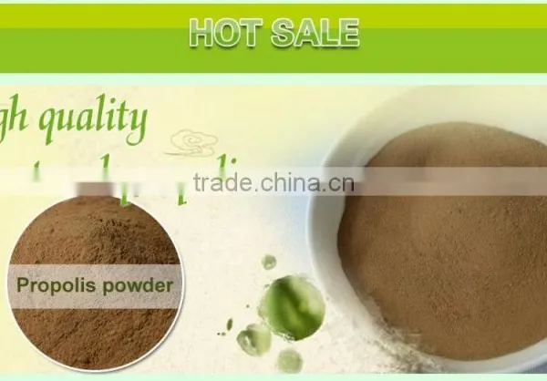 100% Pure Propolis/high Quality Bee Propolis photo-2