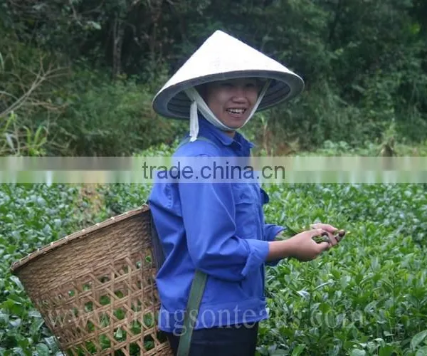 OLD STYLE OOLONG TEA photo-5
