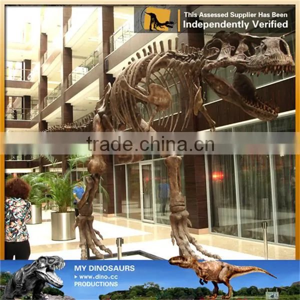 MY Dino-C084 Life Size Dinosaur Skeleton Display photo-3