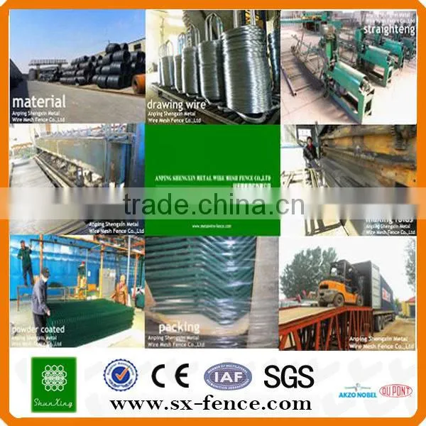 Galvanizedpvc Coated Welded Wire Mesh Fence Panel(Anping Shunxing Factory) photo-2
