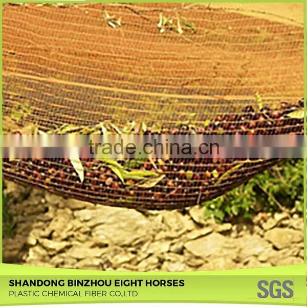 Excellet Quality Cheap High Quality Pe Olive Net for Sale photo-6