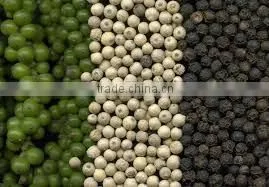 Black Pepper Indonesia photo-5