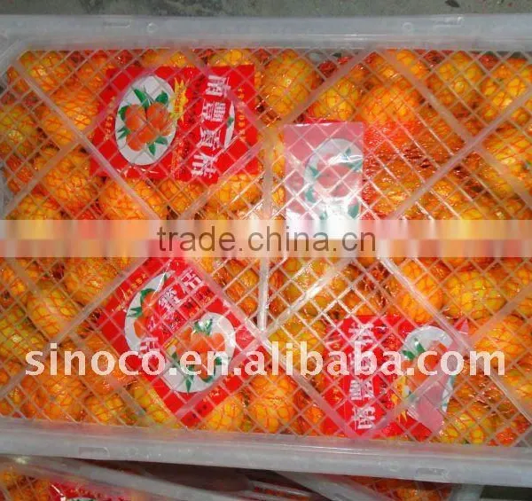 Nanfeng Baby Mandarine photo-3