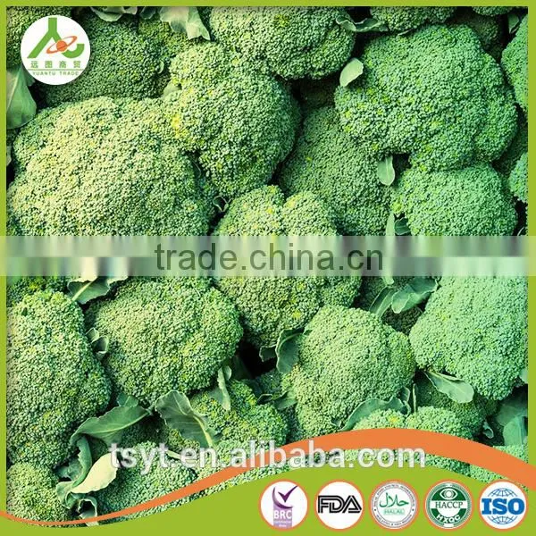 2017 China Iqf Frozen Broccoli Fresh Green Broccoli Frozen Broccoli Broccoli Powder