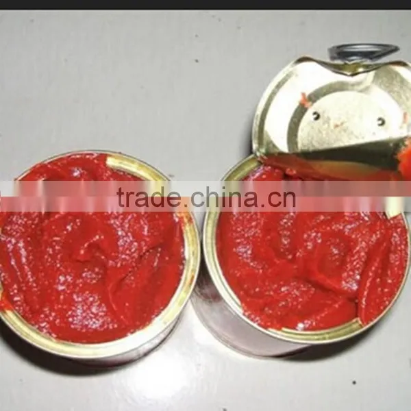 Specification Fresh Tomato, Bulk Tomato Paste Tomato Paste Canned Brix 28-30% photo-4
