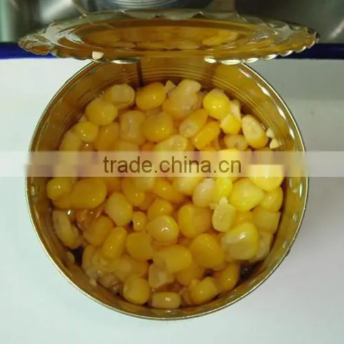 Canned Food Best Canned Sweet Corn Kernel With Good Price photo-3