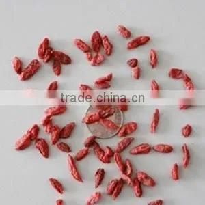 Dried Goji Berry Seeds/Goji Seed/Wolfberry Seeds/Ningxia Origin
