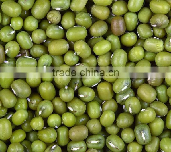 Hot Split Vietnam Green Mung Bean With Competitive Price