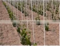 Fiberglass Rod photo-3