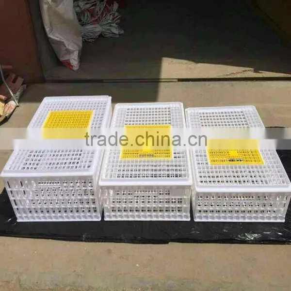 New Condition Poultry Plastic Transport Crate/box/cage for Chicken photo-6