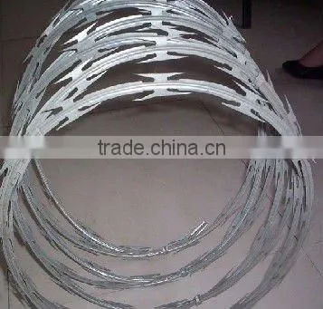 Hot Dipped Galvanized Razor Blade Wire photo-2