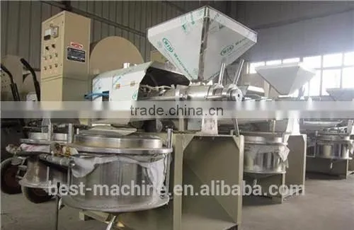 2TPD Automatic Mini Cooking Cheap Mustard Oil Expeller Machine photo-3