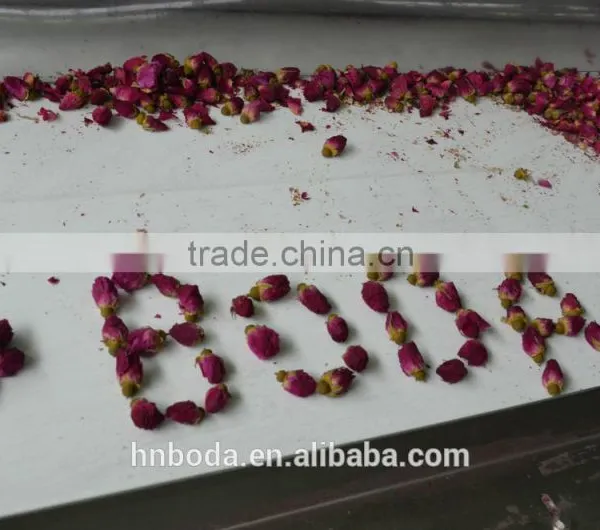 Mesh Machine Type and New Condition Mesh Belt Dryer photo-6
