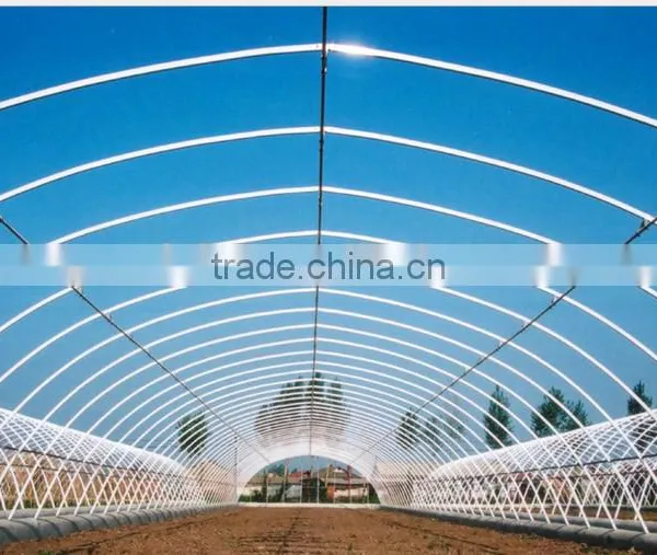 Plastic Film Greenhouse for Livestock photo-2
