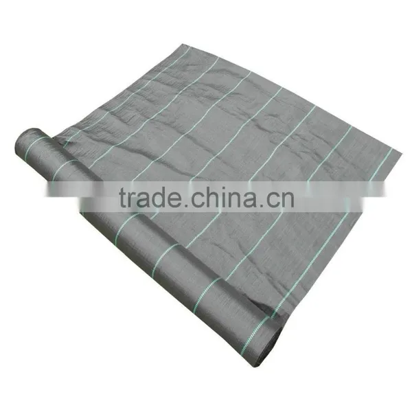 PP Ground Cover Non Woven Polypropylene Fabric photo-4