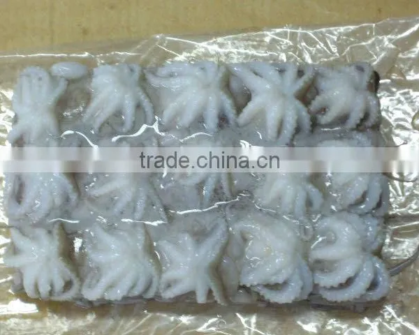 Baby Octopus/ Frozen Baby Octopus photo-5