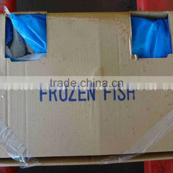 Frozen Horse Mackerel /Pacific/Indian/Atlantic Mackerel Fish for Sale photo-3